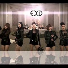 EXID _ Every night(매일밤) (Full Cover)by me