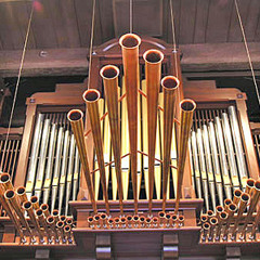 Organ Drone