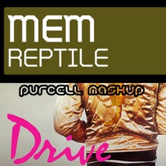 MEM vs. College - A Real Reptile (PURCELL Mash-up) FREE DOWNLOAD