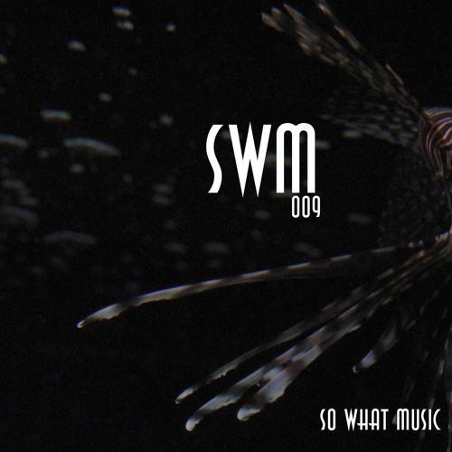 SWM009 Lars Wickinger - Dropout EP