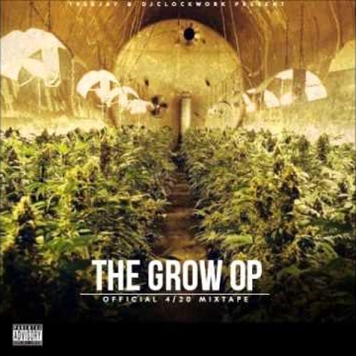 The Grow Op - Mac Miller