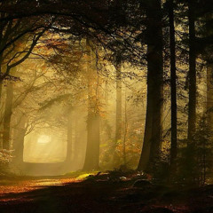 Natural Beauty (A Time for All EP)