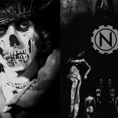 Rrose X Navicon Torture Technologies