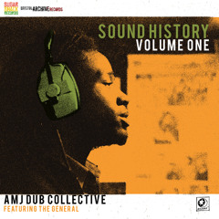 AMJ Dub Collective - Level Dub