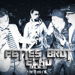Fettes Brot - Echo (UnLik3u Remix)