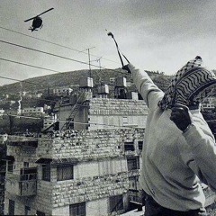 شهر وسنه - أبو عرب
