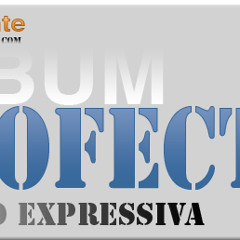 Profect S - Soldado Universal