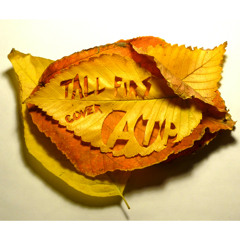 Tall Firs - All Tomorrow's Parties
