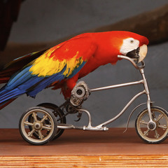Tessela - Hackney Parrot (Sam Binga's Crackney Parrot Rebax)