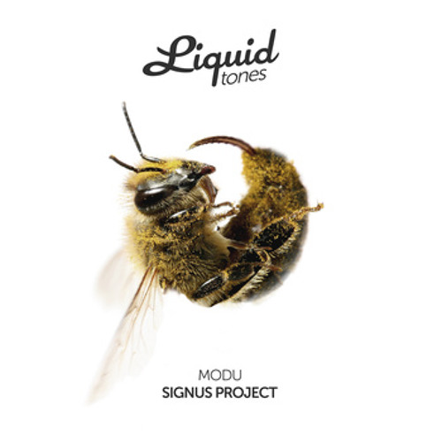 Modu - Baby This Is The Way You Make Me Feel [Liquid Tones]