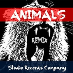 MARTIN GARRIX Animals remix