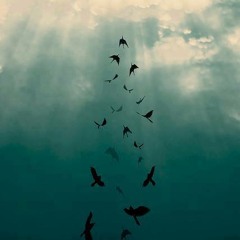 الكاتب