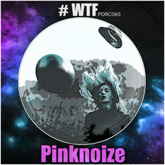 [EXCLUSIVE] [21.12.13] Pinknoize - WTF [PORC065]