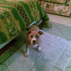 al caz ad tony