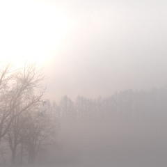 Rikimaru&Shinji-sato / In Cm