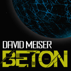 David Meiser - Beton Radio (11-2013)