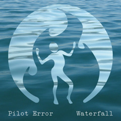 Pilot Error - Robert Blank