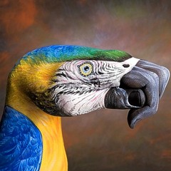 Parrot Fashione blog Mix