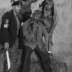 The GoverMent Shut Down