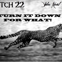 TURN DOWN FOR WHAT! (C22 & Black Ciney Remix)