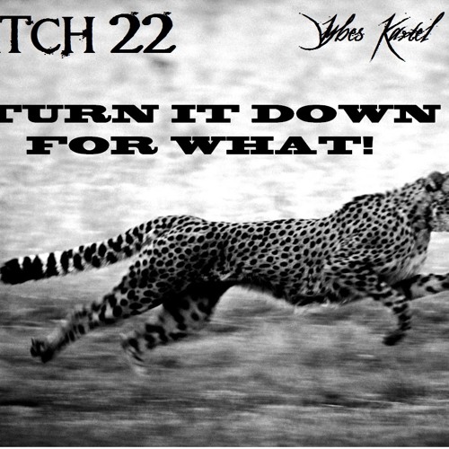 TURN DOWN FOR WHAT! (C22 & Black Ciney Remix)