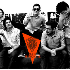 San Bisonte - Natural