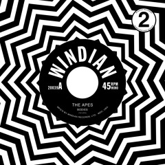 THE APES - BODIES [20039]