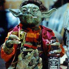 Yoda and R2d2 In the swamps