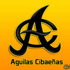 Aguilucho soy desde chiquitico