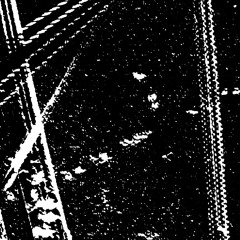 Will Plowman - Ahamay Grove