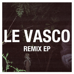 Le Vasco - She Saw Light (Samba De La Muerte Remix)