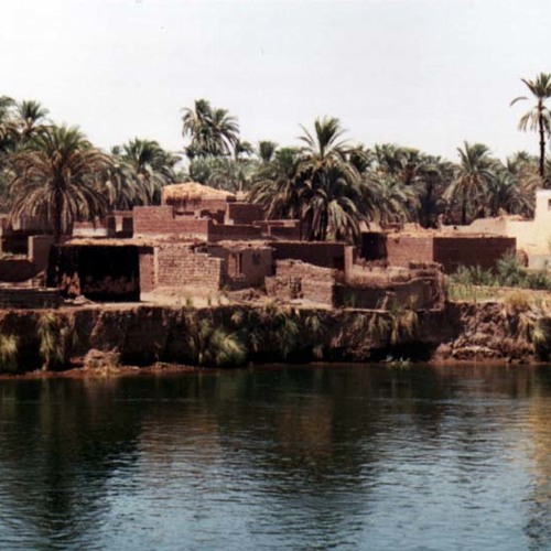 معز _ إركي نوبة _ محسـي