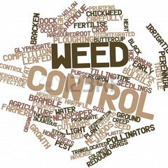 Control (debarriobeat)