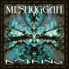 Meshuggah - Rational Gaze | Full instrumental cover
