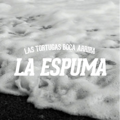 la espuma [maqueta]