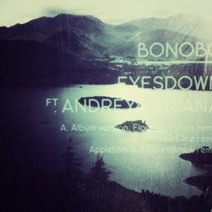 Eyes Down by Bonobo featuring Andreya Triana [de Llera Remix] [NinjaJamm]