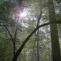 13.damaged [dbn-project ft. danity kane]