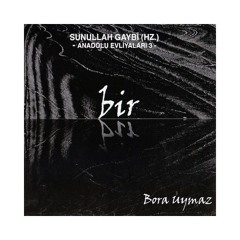 Shvetsiya porno film