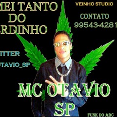 MC OTAVIO SP Fumei Tanto Do Verdinho (VEINHO STUDIO)