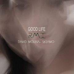 Inner City - Good Life (David Molina & Skeamo Remix) Free Download