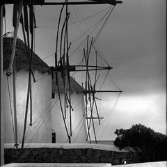 Windmills of your mind - Sting [cover]