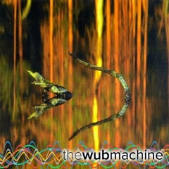 Ievan Polkka/Iev'a polka (Wub Machine Electro House Remix)