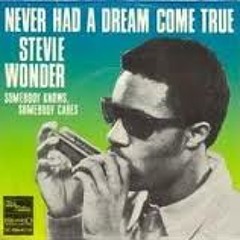STEVIE WONDER - 2