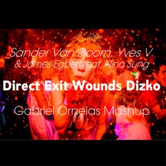 Sander Van Doorn, James Egbert - Direct Exit Wounds Dizko (ORNS Mashup)[DOWN FREE]