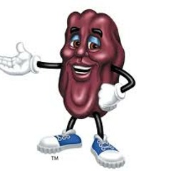 What I Learnt At OldSchool [FREE DOWNLOAD]