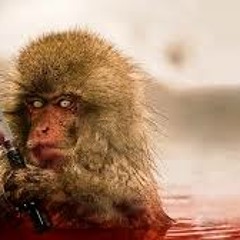 Ngarciaa - Killer (Minimal Monkey Rmx)