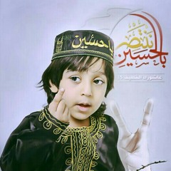 الرادود سيد محمد العدنان ( خامنائي رهبر ) موكب صاحب الزمان (عج) .باب الشمال