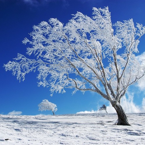 Antonio Vivaldi - 'Largo' from "Winter," from "The Four Seasons"