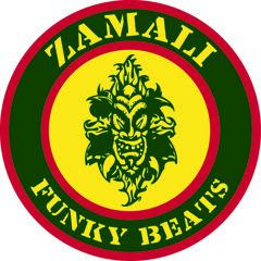 The Baker Brothers - Snap back (Zamali remix) FREE DOWNLOAD