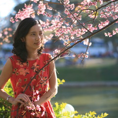 Vietnamese Ballads